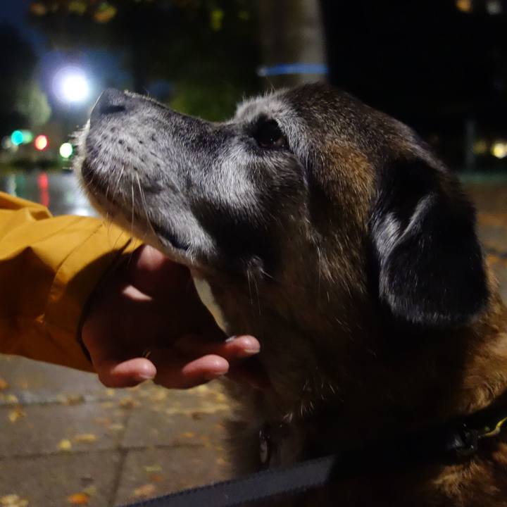 C1ea2a1a c5c9 4e85 98c8 c54cb32d365f 1573984900124