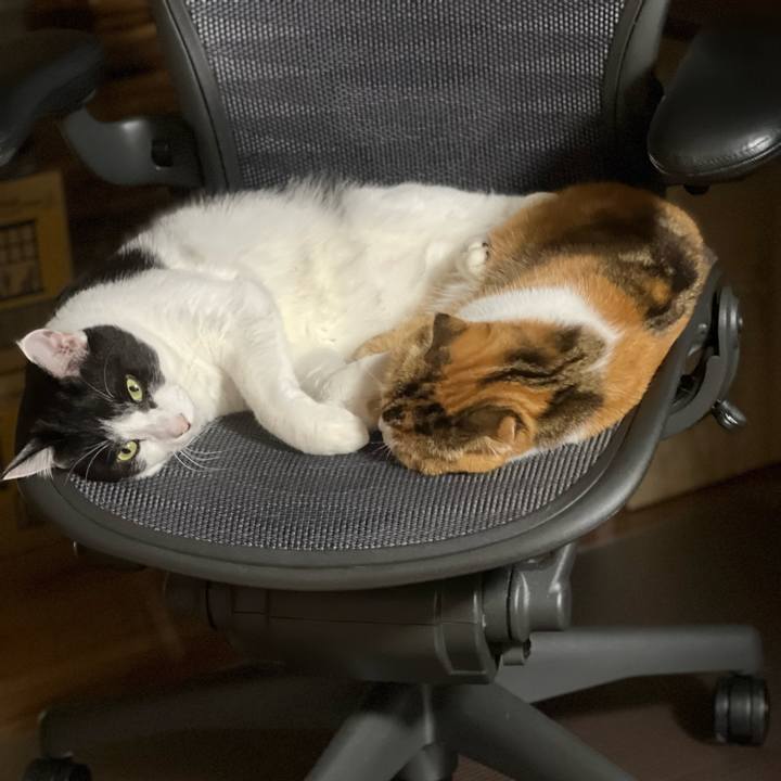 C1ea3460 33c6 49d3 927e 64383daf8ff7 1685541997010