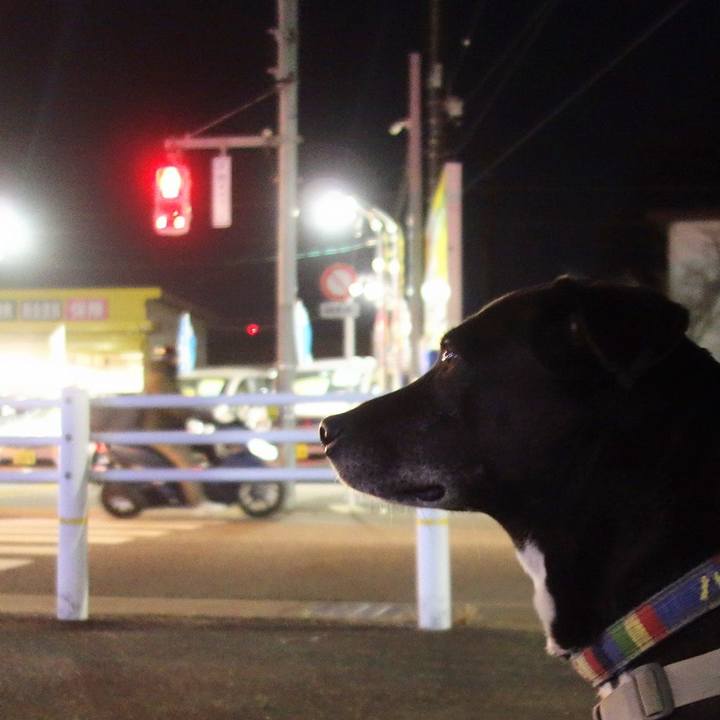 C1ea4aa6 e686 4adb b7c5 41e0566435e5 1710760278869