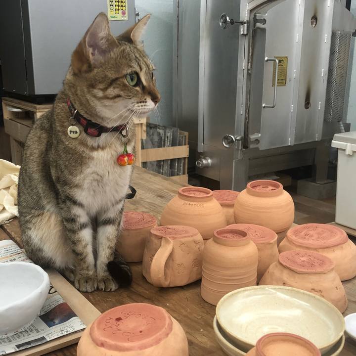 C1ea4db2 dd3e 49c8 9f28 f92a428049b7 1653570706141