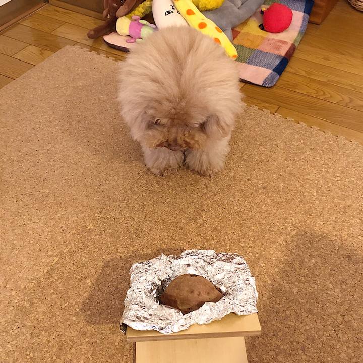 C1ea8f0c 2101 4970 9cbb 3728b5c9d59e 1544521543870