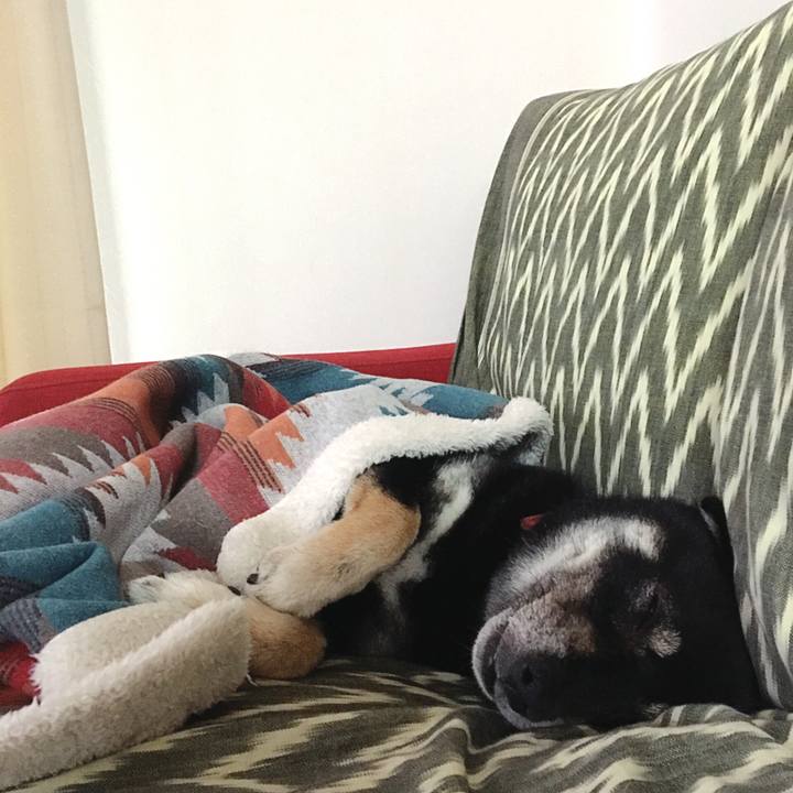 C1ea962e ba9b 4ecb 9207 be2beb20a298 1560045009788