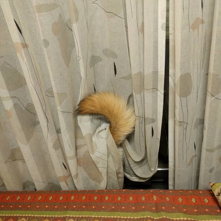 C1eac59b 6750 4ed8 a4e8 4c3525c05dd5 1738022711077