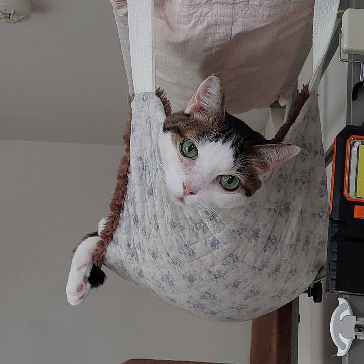 C1eace8b f9e1 4f3c a5cb 377066aca4c2 1758664570700