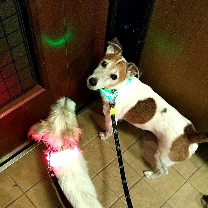 C1eaf1e9 4b84 42a3 b8b6 51bacb6ff024 1538913622918