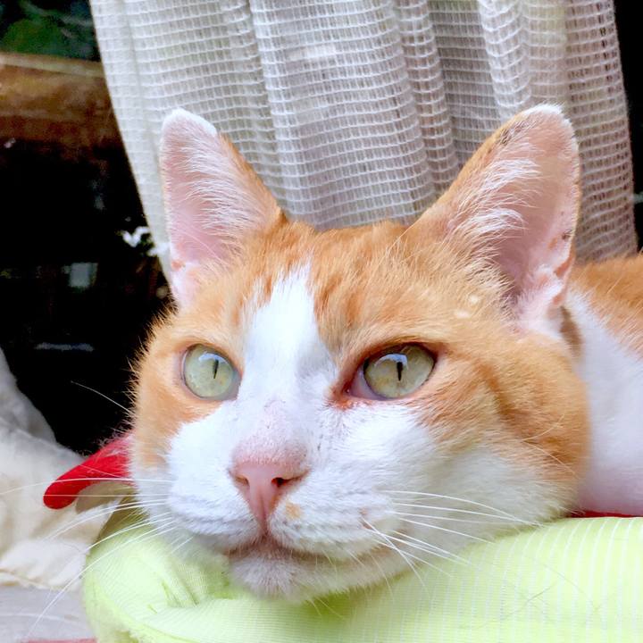 C1eb05f8 ff59 4816 987f 7d6d13b065c7 1566703391055