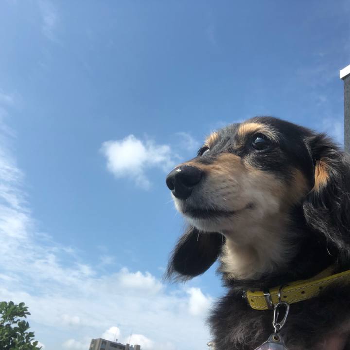 C1eb3f34 eadc 49f1 b9ef e0f6539a8478 1595116477288