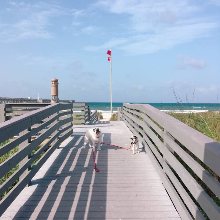 C1eb4848 2876 4293 91bc 08cff60c5d82 1561464886340