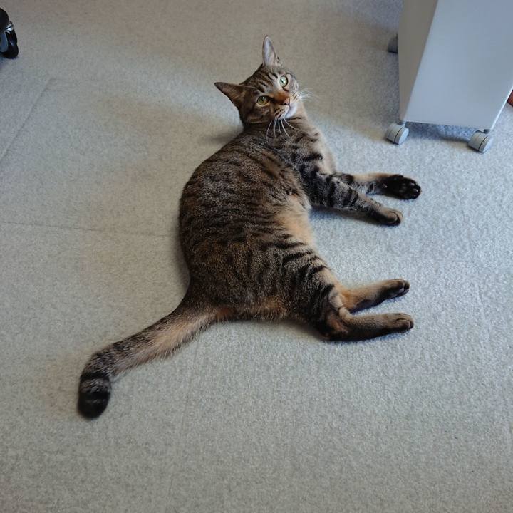 C1eb5dfb c3dd 4a57 bf9b ffab91374e9a 1550310502499