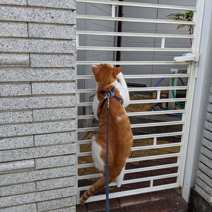 C1eb69c9 fd38 4a84 856a 26e9d3a5e02b 1566780137908