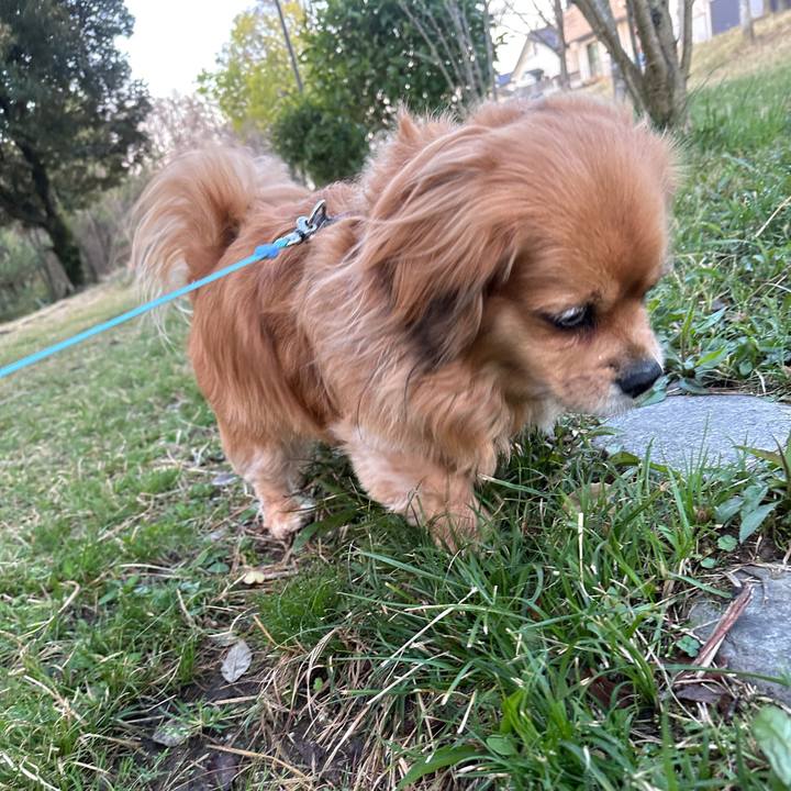 C1eb7353 fa8a 4b60 b35c 96b93c4ef2d5 1679262442512