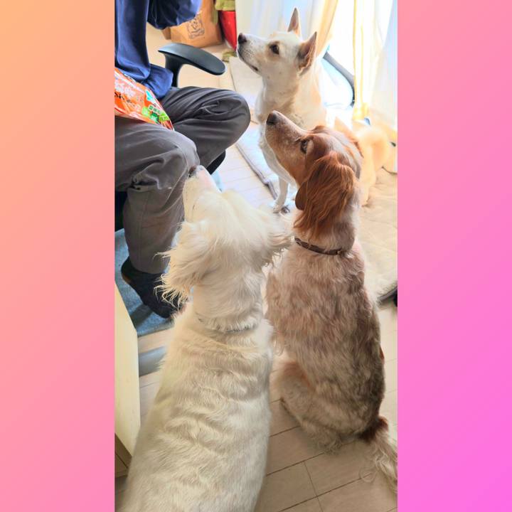 C1eb7f88 174f 42ee 83ce 6e0a703972ce 1733963365206