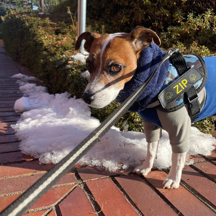 C1eb9820 a7ca 4717 a0e8 91e81328e168 1736582955963