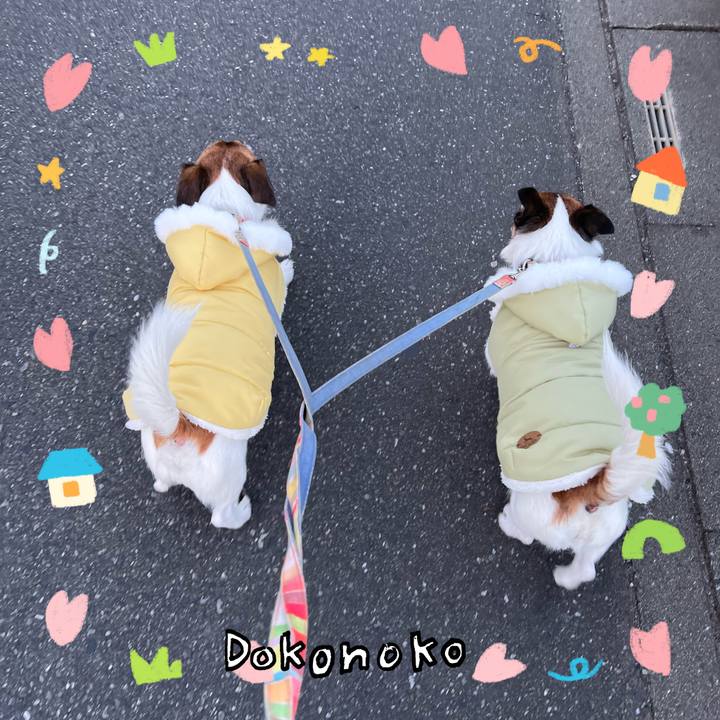 C1eba646 8e6f 4847 8b68 bf73b76bae86 1741104402184