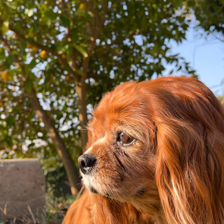 C1ebbd4e 62fa 475c a810 8f960d8937f0 1742687690309