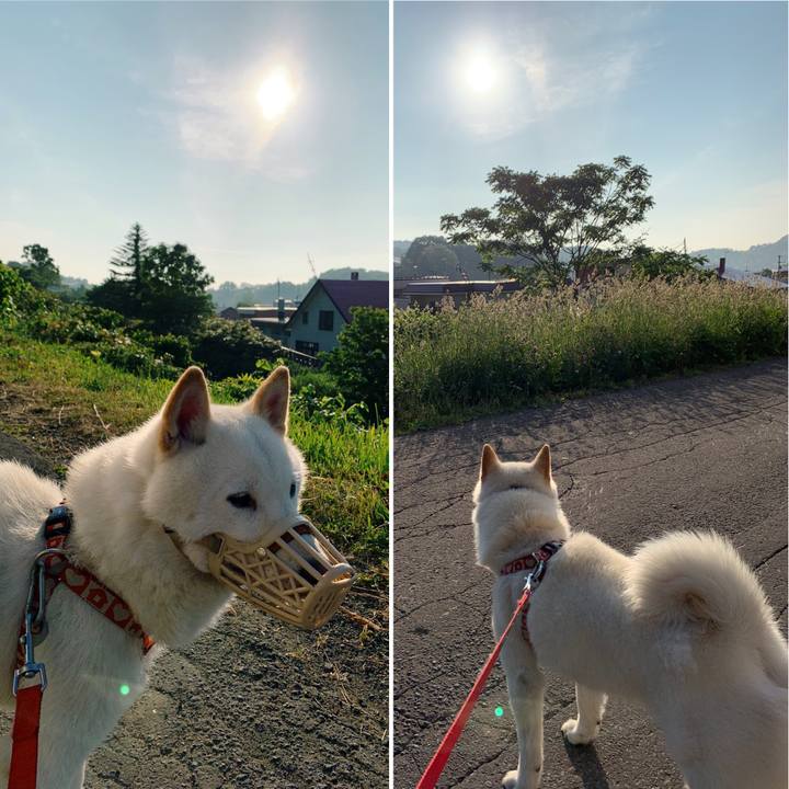 C1ebedd8 5589 456d 9705 560c12a51737 1560291125247