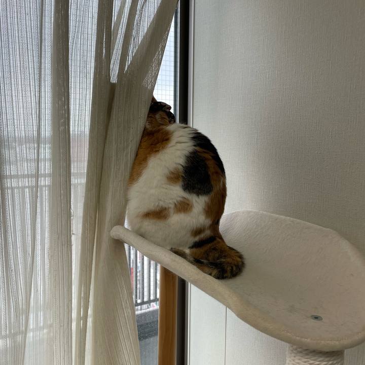 C1ebf7b1 3e93 4982 9492 d78a014b348b 1743464161948