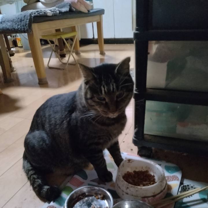 C1ec00d6 f9b5 4844 a260 158112f557dc 1666822429926