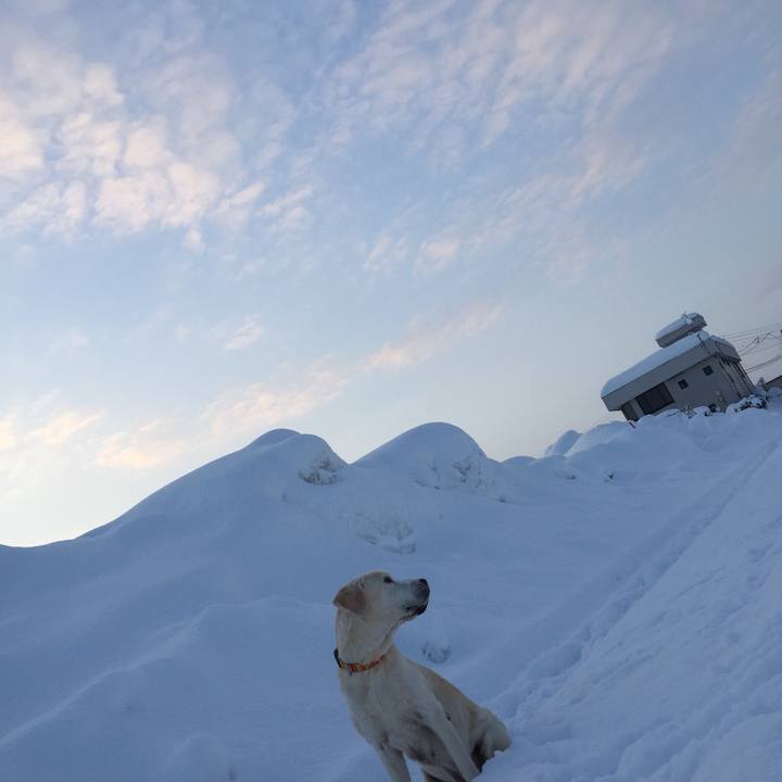 C1ec1233 a773 48cc 825c 058a87943e49 1581166262437