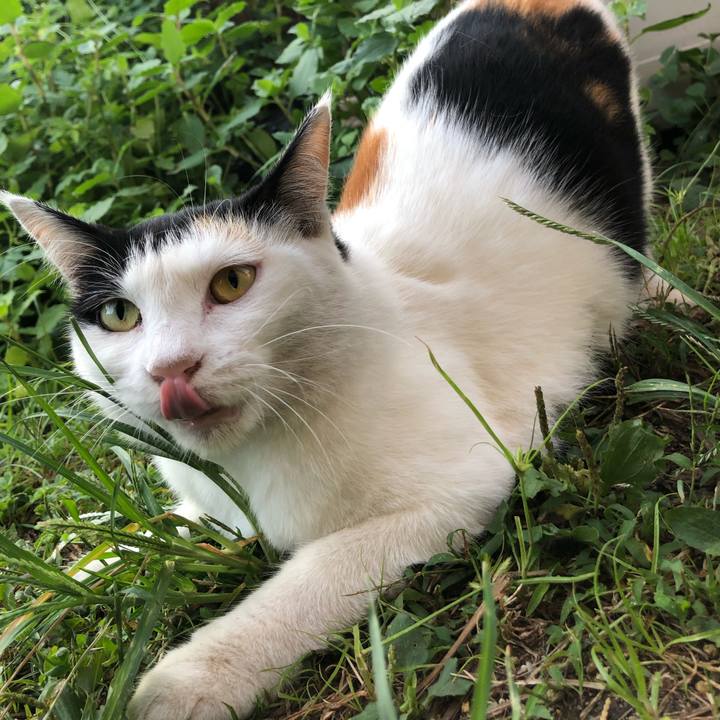 C1ec3755 4db5 488a 91f2 d92e096cf5bf 1599516953544