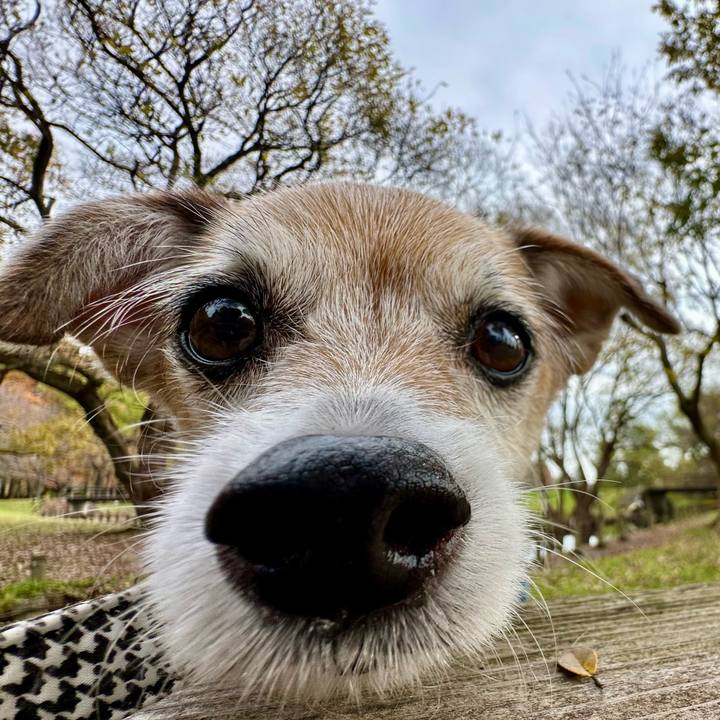 C1ec3828 93bd 43e8 a241 58c005a69e8c 1669444503702