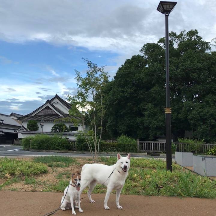 C1ec5be0 42e9 4b6e 8ba8 1f25f7d9615e 1534326465319