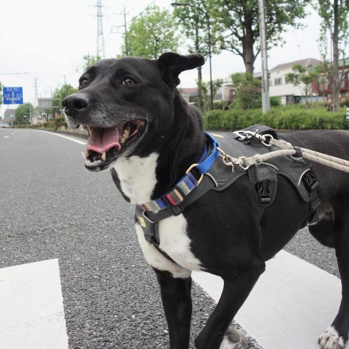 C1ecdbe4 cb33 4ffe 91eb 77b2fcd721fb 1651367494047