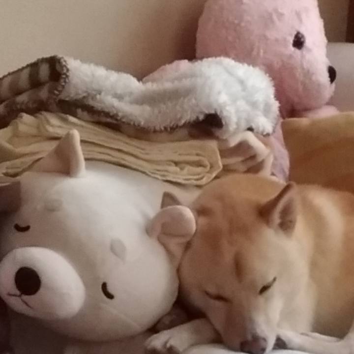 C1ecde0c b92a 4a95 92a3 4dea8f47c8f7 1535090165832