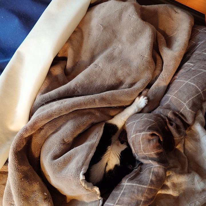 C1ece2ed 5496 4911 9b7e f129c664b340 1774420986088