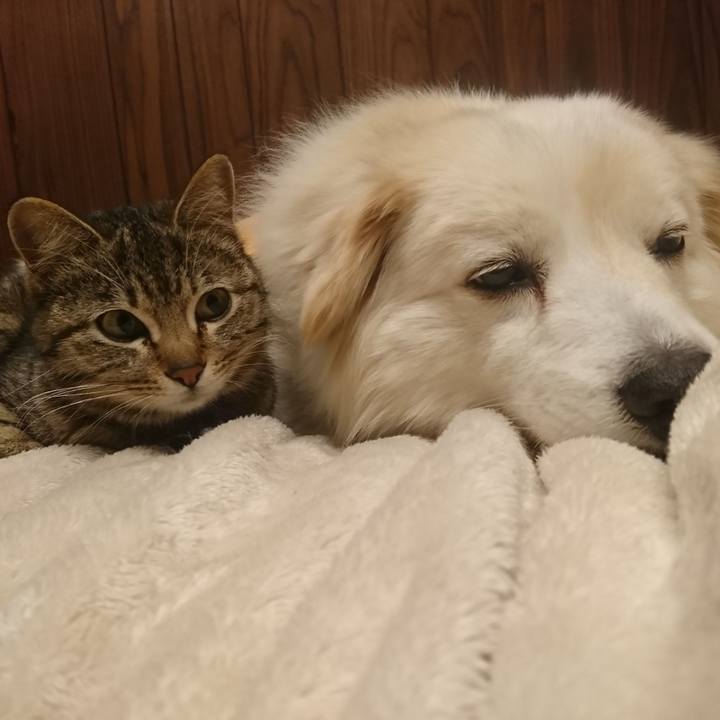 C1ecee52 1204 4b0a aee1 9a8591714b07 1555170525066