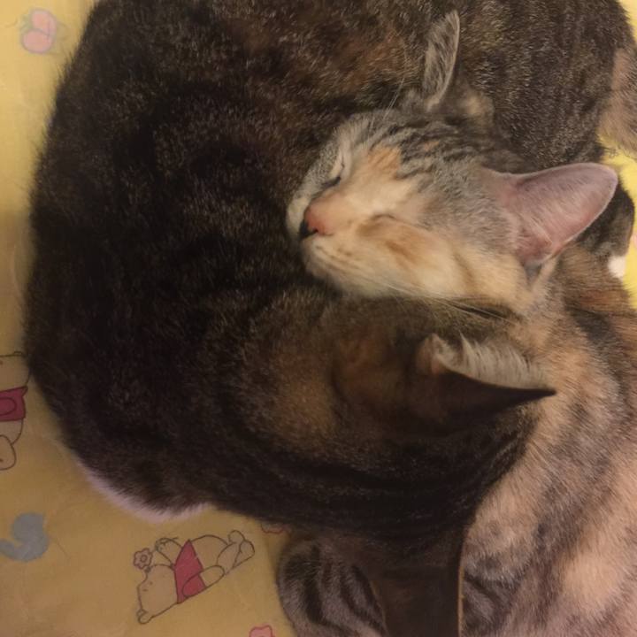 C1ed1491 0cce 4e5c b4a8 51ca68b43338 1547127377859