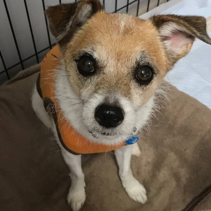 C1ed151a af5a 432c 8c8c e1b90ca76271 1599871251415