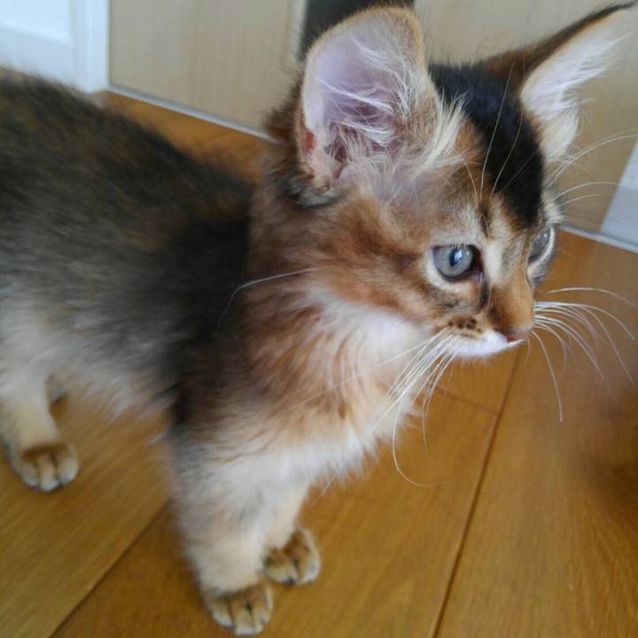 C1ed2713 08b6 4c56 9f86 6047d8ad61be 1572513822944