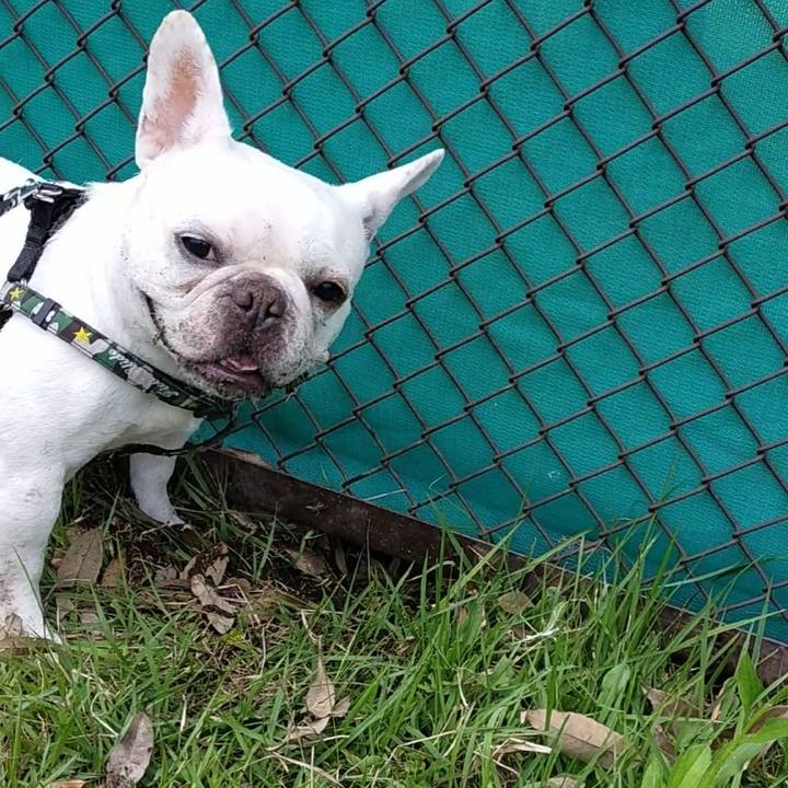 C1ed46a3 3f52 42f0 b050 b488f6011536 1654988111796