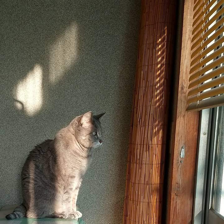 C1ed903a 8120 4f44 9f4c 7f5ec977e49b 1672208391359