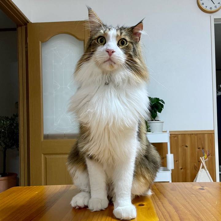 C1edad49 4b79 46a4 9b91 b8bf9013cae8 1667937539193