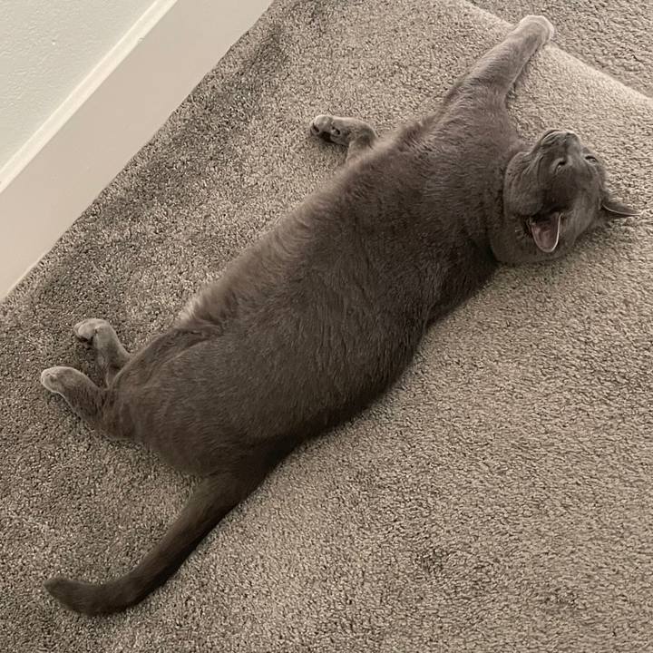 C1edb398 fb54 439b bed4 17b98c9d4f9d 1744076608754