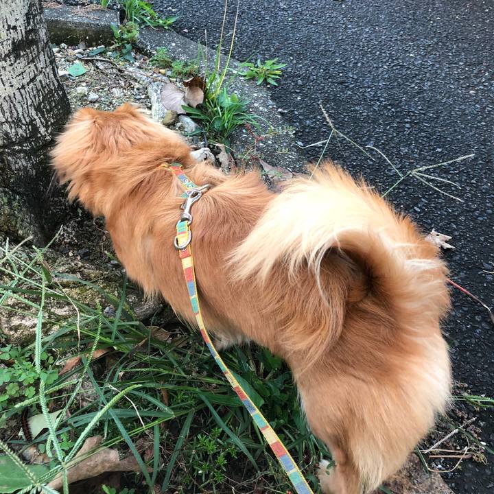 C1edbaf1 fc07 41b9 ba01 114cee62ce2a 1508710249453