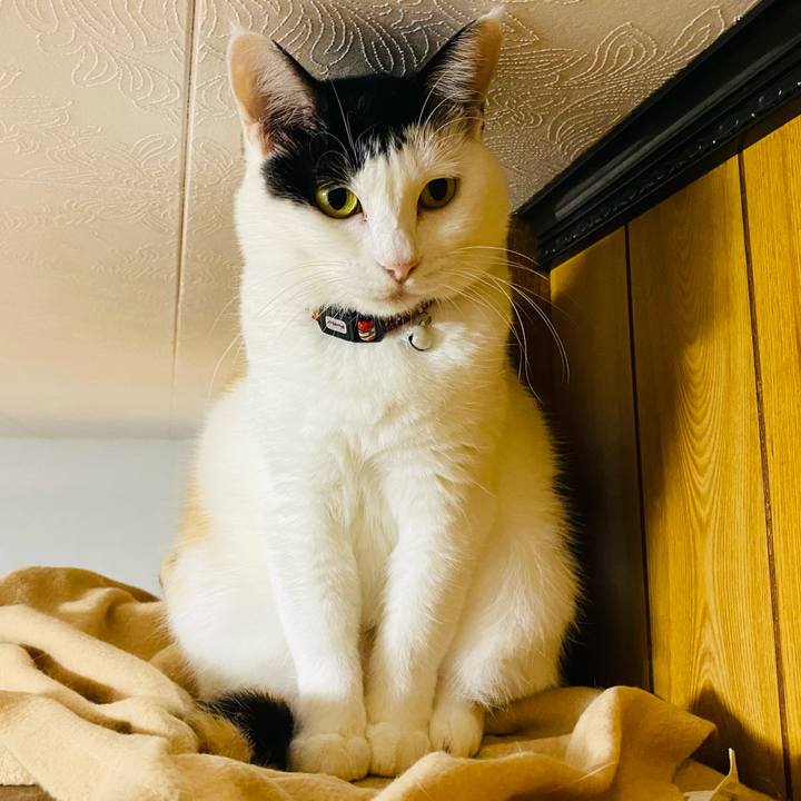 C1edbafc 2257 4242 823e 5590ec6a2809 1666387011502