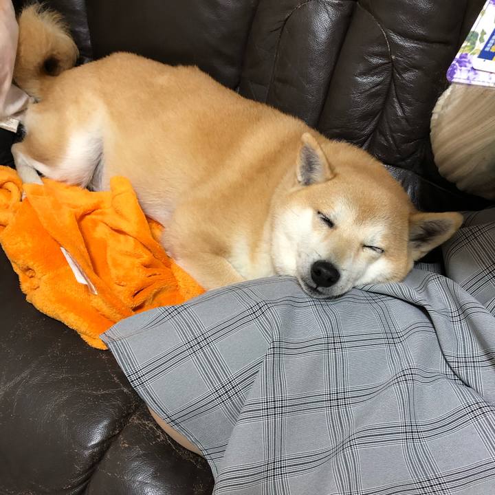 C1edc073 b5d4 473a 9430 5a265d88ce41 1548410676838