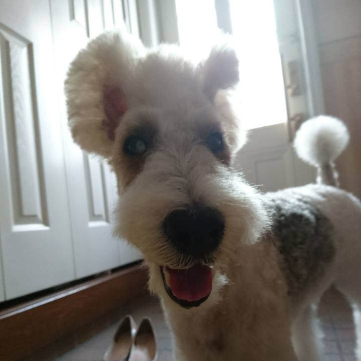 C1edf189 96ce 416b 810f b3a9bddfcf97 1535959021569