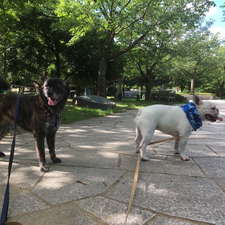 C1ee3d31 1e36 4099 bd7e 2f4f5de03dd9 1533012238819