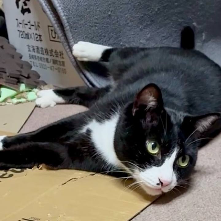 C1ee5567 1b46 4d02 ae66 cda7b2a8356d 1763031539878