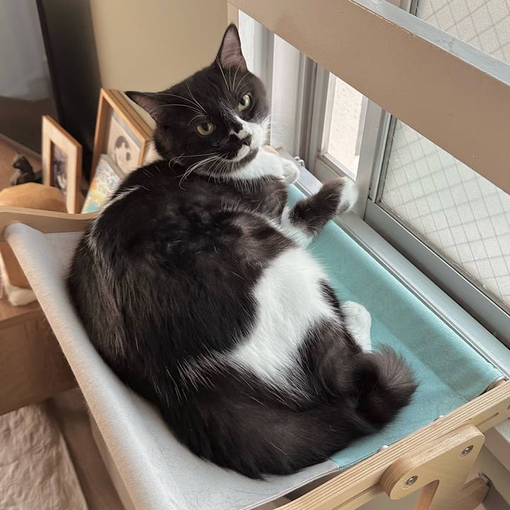 C1ee7342 3dba 4145 90d9 887faeda1c6b 1759267682758