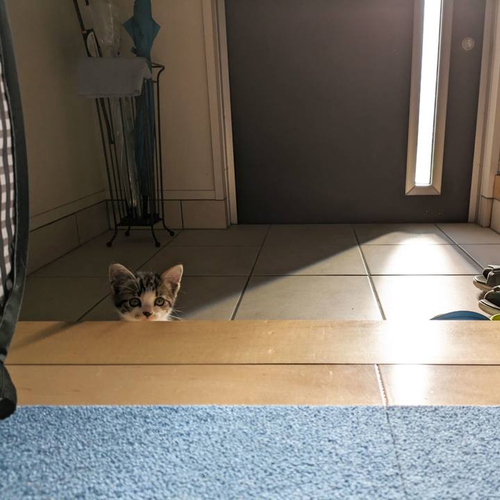 C1ee7381 e737 4265 a366 8a1385758671 1718342951476