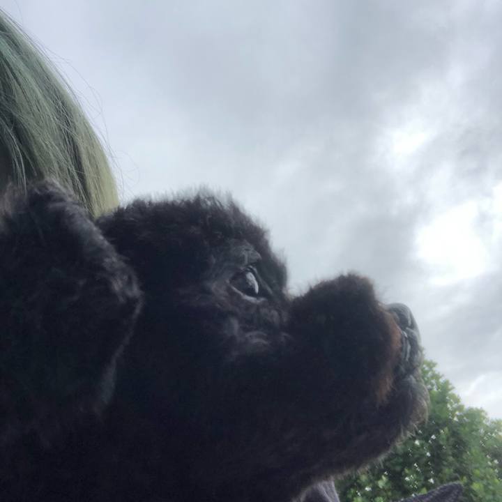 C1eed144 1bec 4961 8eaf 23fa9c8ad9d4 1600229874782