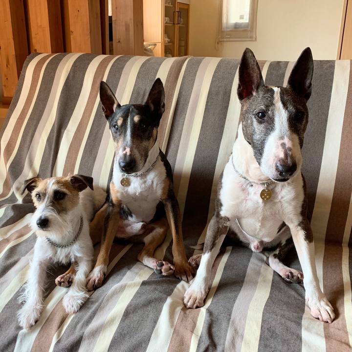 C1eed8cd 443c 4aad 96c0 41486ede7a4e 1583042413226