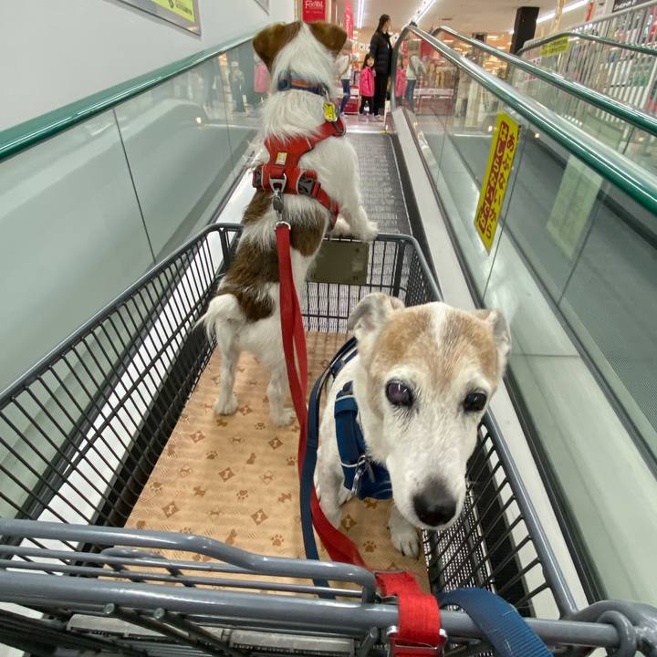 C1ef4321 aabc 42c6 b0d5 f5d24695dabd 1672295400671