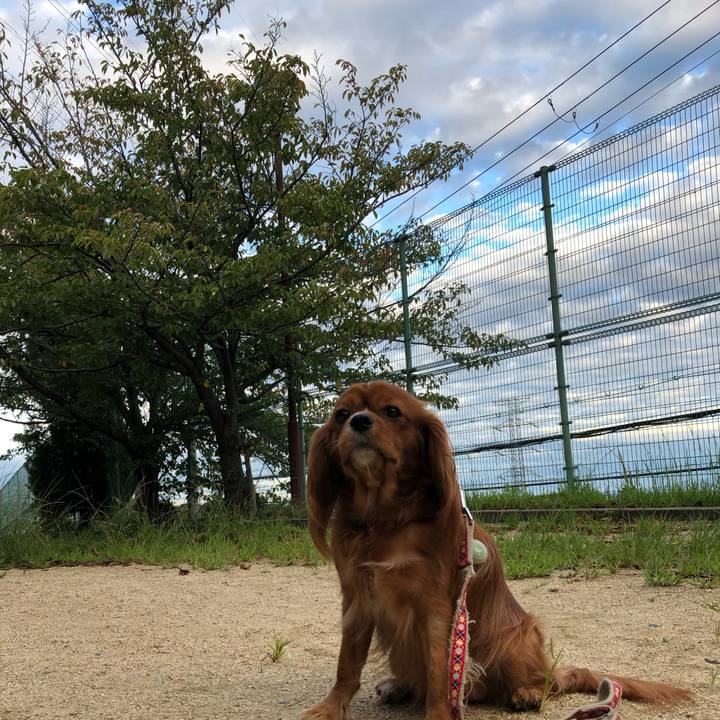 C1ef5505 0c56 4819 9cb8 fab88206fbd6 1569228066099