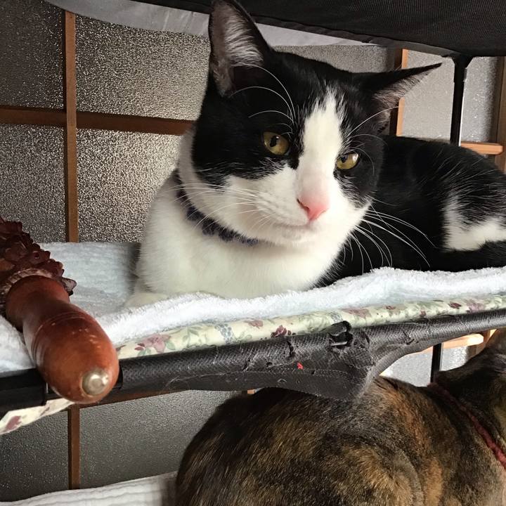 C1ef60c8 42d5 404c a17d a2dd4bc18d21 1642468735093